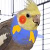Andrew Coss747 - @andrewcoss4 - TikTok