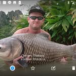 Andrew Cotton - @andrew.cotton.754 - Instagram