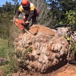 Andrew Coverdale - @andrew.coverdale.180 - Instagram