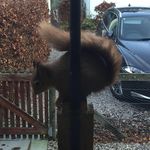 andrew coy - @andrewcoy57 - Instagram