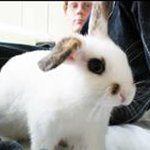 Andrew Coy - @andrewcoy86 - Instagram