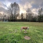 Andrew Crain - @andrewcrain6 - Instagram