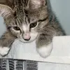 andrewcrain78 - @htx.andrew103008 - TikTok