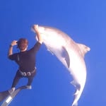 Andrew Creedon - @andrewcreedon - Instagram