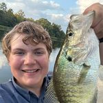 Andrew Crisp - @andrew._.crisp - Instagram