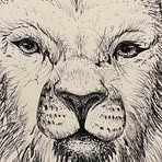 Andrew Cronk - Facebook