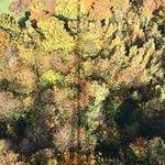 Andrew Crump - @xcrumpyx - Instagram