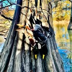 Andrew Culp - Facebook
