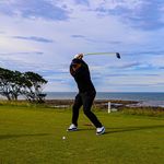 Andrew Culp - @theaculprit - Instagram
