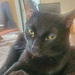 Andrew Cushing - @person__thing__ - Instagram