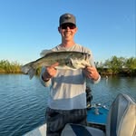 Andrew Cushman - @cush_3 - Instagram
