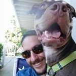 Andrew Damiani - @abdamiani - Instagram