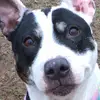 Andrew Darby - @andrew.darby0 - TikTok