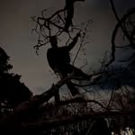 Andrew Darling - @darling_national - Instagram