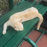 @andrew.darren_ - Instagram