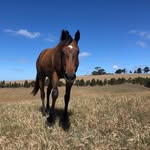 Darryl Andrew - @andrew.darryl - Instagram