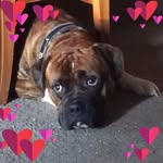 Andrew Darroch - @andrew.darroch.5 - Instagram