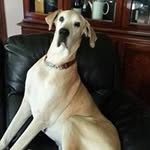 Andrew Darroch - @darroch.andrew - Instagram