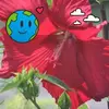 Andrew Davie - @andrew.davie4 - TikTok