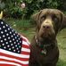 David Andrew Alberta - Facebook