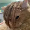 Andrew Decker - @andrew.decker2 - TikTok