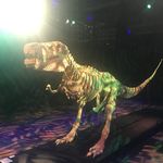 Andrew Decker - @theonehandedgamer - Instagram