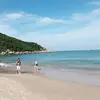 curiosidades - @andrew.denner - TikTok