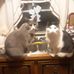 Andrew Denning - Facebook