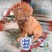 Andrew Derbyshire - Facebook