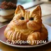 Andrew Deutsch - @andrew.deutsch - TikTok