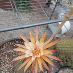 Andrew Dickerson - Facebook