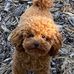 Andrew Dickman - Facebook