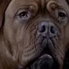 Andrew Doig - @andrew.doig - TikTok