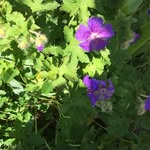 Andrew Doig Davies - @andrewdoigdavies - Instagram