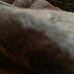 Andrew Donlan - Facebook