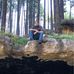 Andrew Dotson - Facebook