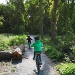 Andrew Downes - @downes7558 - Instagram