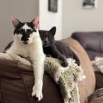 Andrew Dudek - @catcowmoon - Instagram
