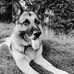 Andrew Dudek - Facebook