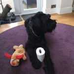 Andrew Durkin - @durkinandrew59 - Instagram