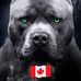 Andrew Dwyer - Facebook