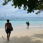 Noddy - @andrew_dwyer_ - Instagram