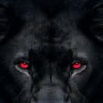 Dibo Andrew - Facebook