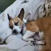 Andrew East - @andrew.east60 - TikTok