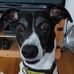 Andrew Edson - Facebook
