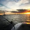 andrewedson335 - @andrewedson335 - TikTok