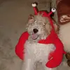 andrewedson - @andrewedson - TikTok