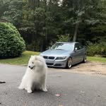 Andrew Egan - @_andrewegan - Instagram