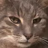 André Wehinger - @andre_wehinger - TikTok