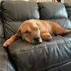 Andrew - @andrew.ehrlich - TikTok